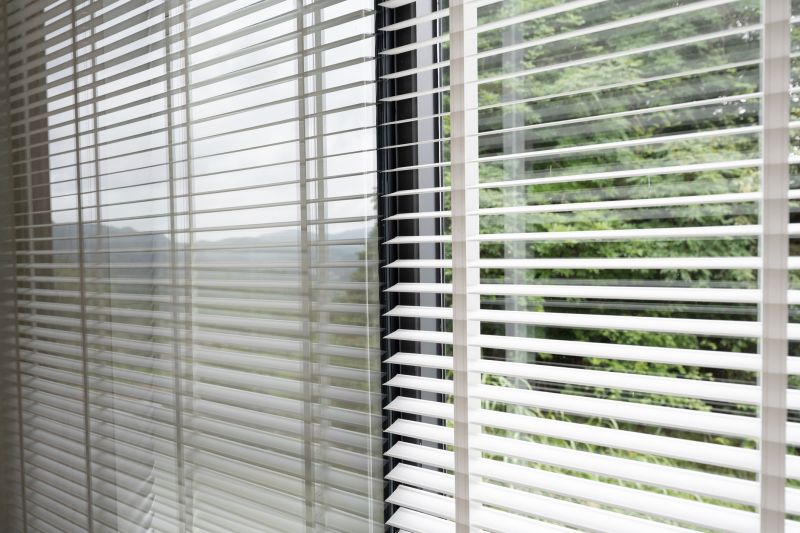 Cellular Shades Cleaning in Madison, WI
